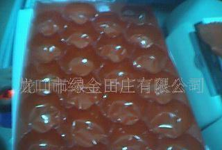 【吸塑水果 包装托盘(图)】价格_厂家_图片 -