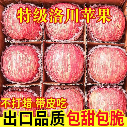 一口爆汁的冰糖心 为什么正宗洛川红富士苹果，吃一次就忘不掉？
