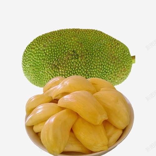 青榴莲 枝头青翠，内心甜蜜的热带诱惑